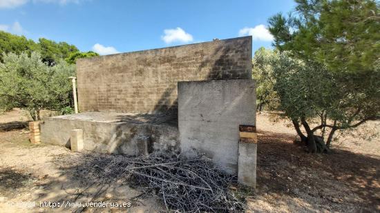  Finca Rústica en L'Ampolla - TARRAGONA 