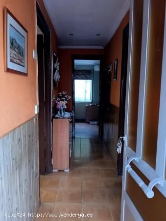 Oportunidad de casa con terreno en el valle de Turón (necesaria ligera reforma) - ASTURIAS