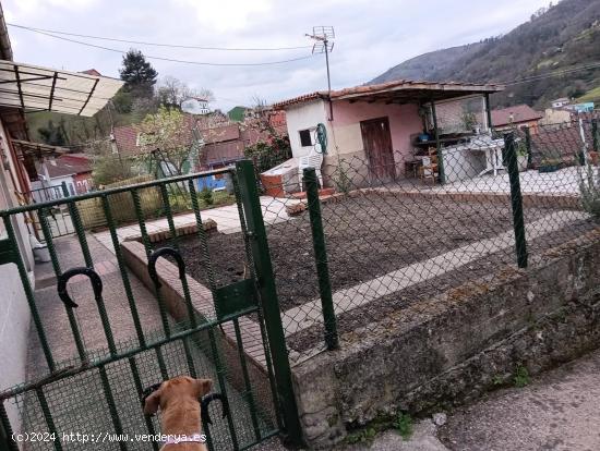 Oportunidad de casa con terreno en el valle de Turón (necesaria ligera reforma) - ASTURIAS