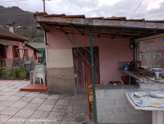 Oportunidad de casa con terreno en el valle de Turón (necesaria ligera reforma) - ASTURIAS