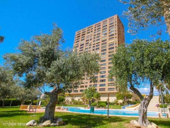  SE VENDE UN PISO EN PONIENTE, BENIDORM - ALICANTE 