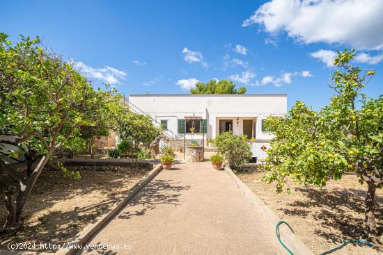 Oportunidad Única en La Bonanova, Palma de Mallorca - BALEARES