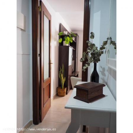 APARTAMENTO EN EL CENTRO - CADIZ