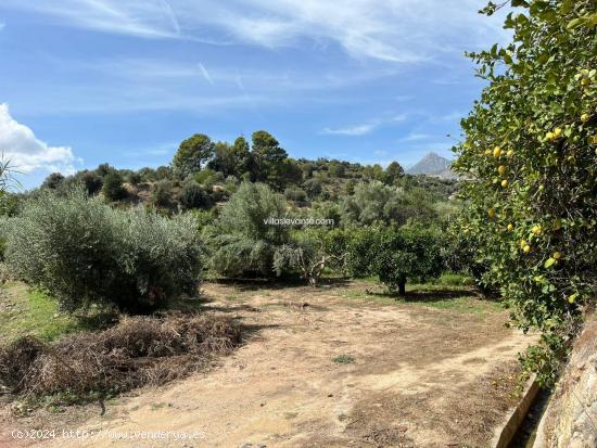 FINCA RUSTICA PARA USO AGRARIO - ALICANTE