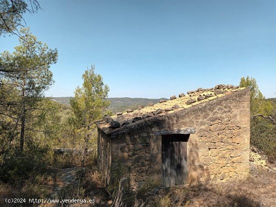  Suelo rústico en venta  en Horta de Sant Joan - Tarragona 