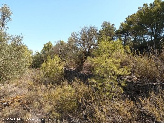 Suelo rústico en venta  en Horta de Sant Joan - Tarragona