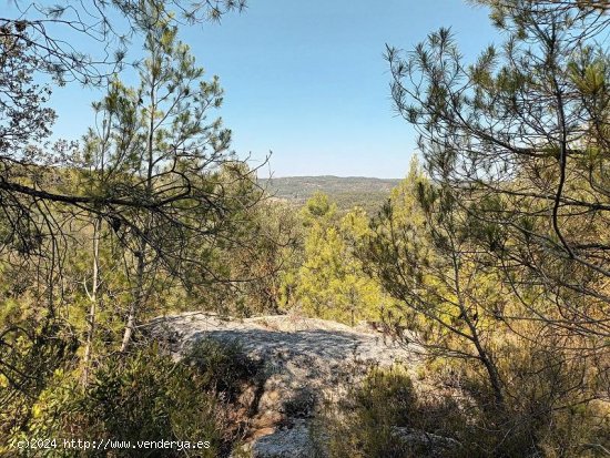 Suelo rústico en venta  en Horta de Sant Joan - Tarragona