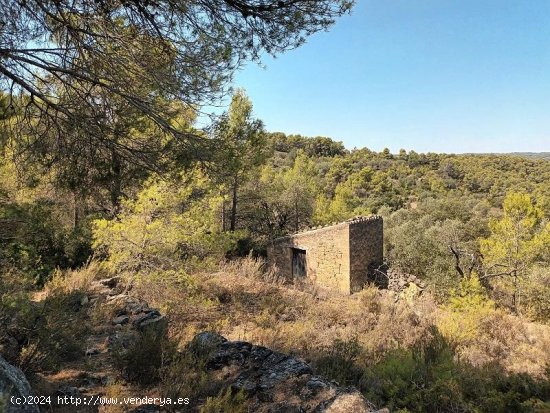 Suelo rústico en venta  en Horta de Sant Joan - Tarragona