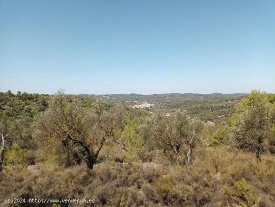 Suelo rústico en venta  en Horta de Sant Joan - Tarragona