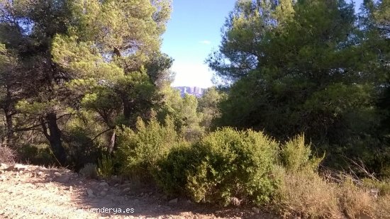 Suelo rústico en venta  en Horta de Sant Joan - Tarragona