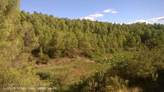 Suelo rústico en venta  en Horta de Sant Joan - Tarragona