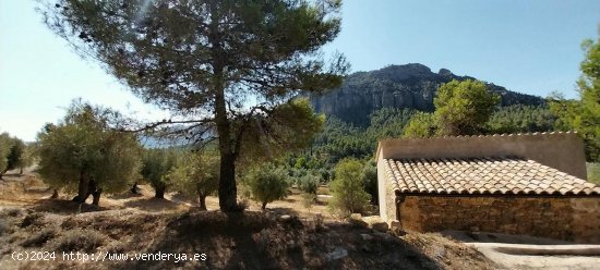 Suelo rústico en venta  en Horta de Sant Joan - Tarragona