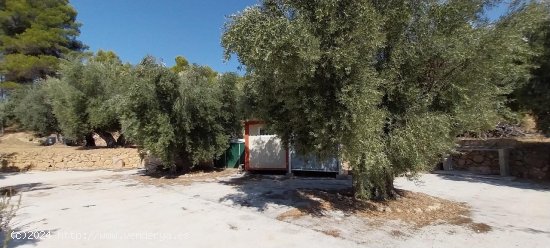 Suelo rústico en venta  en Horta de Sant Joan - Tarragona