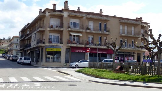 Local comercial en venta  en La Bisbal d Empordà - Girona