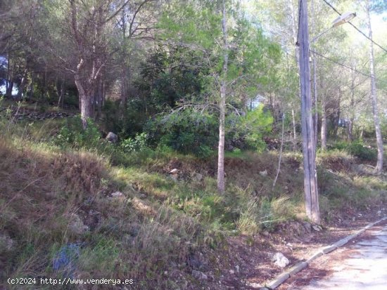 Suelo rústico en venta  en Bisbal del Peneds, La - Tarragona