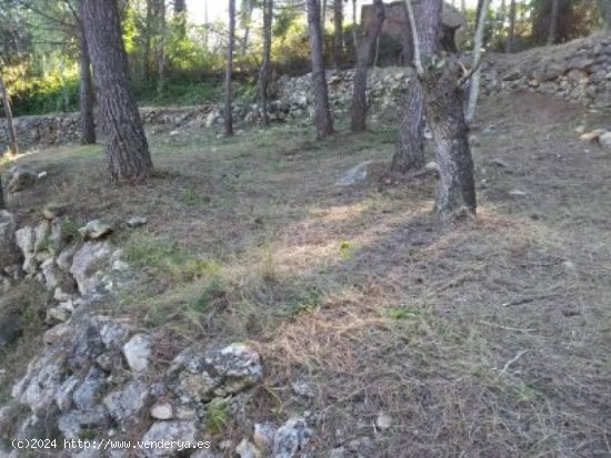 Suelo rústico en venta  en Bisbal del Peneds, La - Tarragona