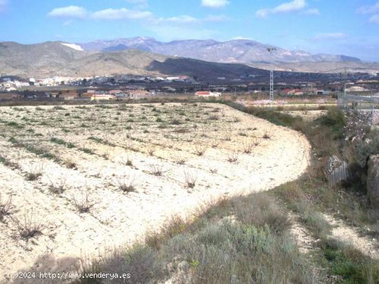 TERRENO EN HONDON DE LOS FRAILES - ALICANTE