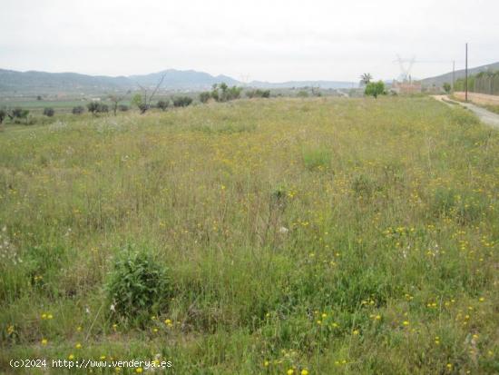 SE VENDE TERRENO EN HONDON DE LAS NIEVES - ALICANTE