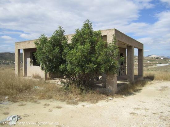 FINCA RÚSTICA - ALICANTE