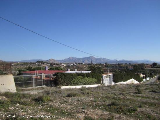 TERRENO EN NOVELDA - ALICANTE