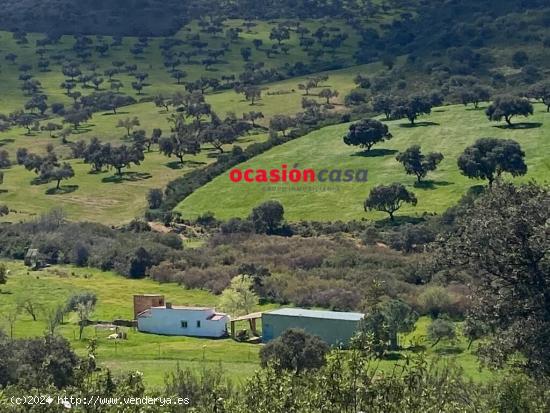 FINCA RÚSTICA EN BELMEZ DE 16 HA - CORDOBA