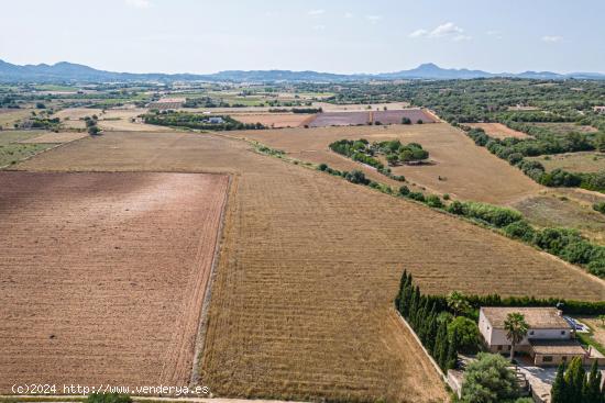 Terreno de 7103 m2 en Manacor - BALEARES