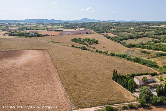 Terreno de 7103 m2 en Manacor - BALEARES