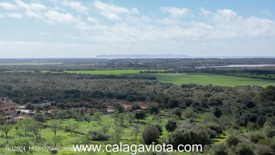 Terreno extraordinario con vistas a Cabrera - BALEARES