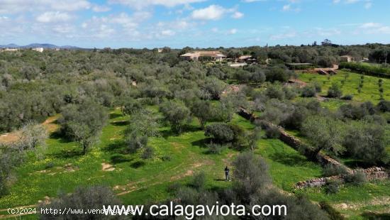 Terreno extraordinario con vistas a Cabrera - BALEARES