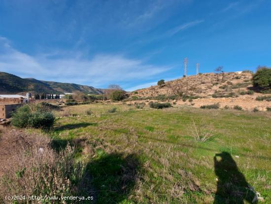 Terreno urbanizable en Dalias - ALMERIA