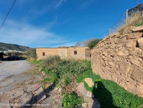 Terreno urbanizable en Dalias - ALMERIA