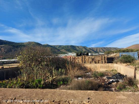 Terreno urbanizable en Dalias - ALMERIA