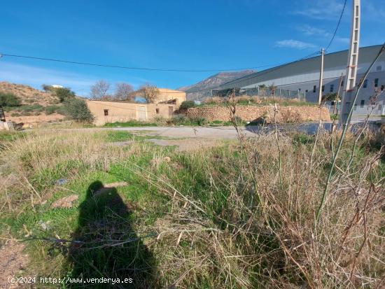 Terreno urbanizable en Dalias - ALMERIA