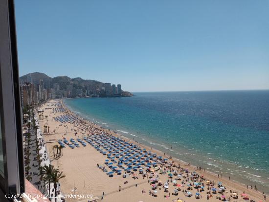  FANTASTICO PISO EN 1º  LINEA  DE AVD ALCOI   BENIDORM - ALICANTE 