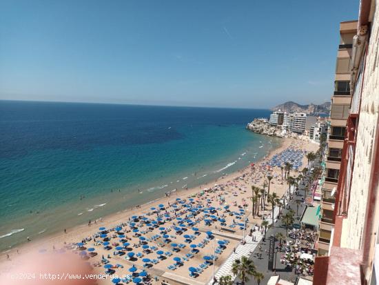 FANTASTICO PISO EN 1º  LINEA  DE AVD ALCOI   BENIDORM - ALICANTE