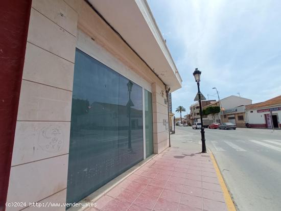 Local comercial - MURCIA