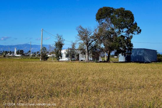 FINCA RUSTICA / ARROZAL EN VENTA - TARRAGONA