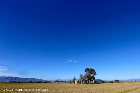 FINCA RUSTICA / ARROZAL EN VENTA - TARRAGONA