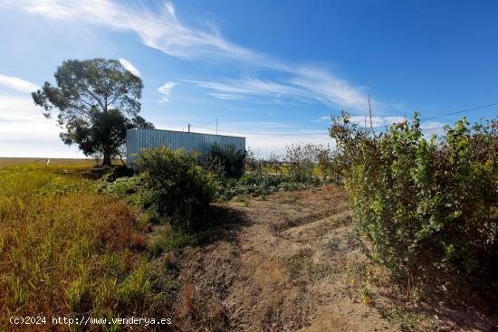 FINCA RUSTICA / ARROZAL EN VENTA - TARRAGONA