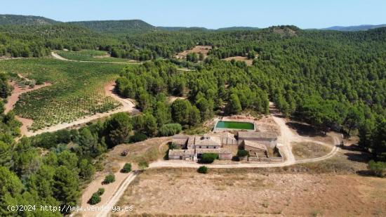  Antigua Bodega en el Valle de Ayora - VALENCIA 