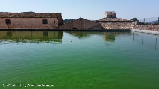 Antigua Bodega en el Valle de Ayora - VALENCIA