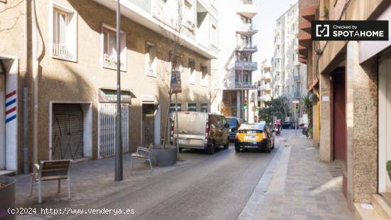 Se alquila habitación en piso de 6 habitaciones en Barcelona - BARCELONA