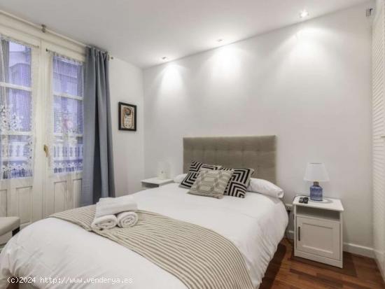 Piso de 2 habitaciones en alquiler en Casco Viejo, Bilbao - VIZCAYA