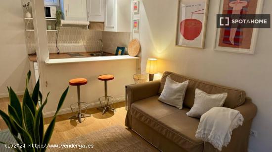 Apartamento entero de 1 habitaciones en Madrid - MADRID