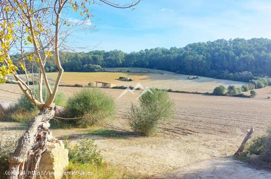 Finca rústica edificable de 56.000 m2 en zona pintoresca de Sant Joan - BALEARES