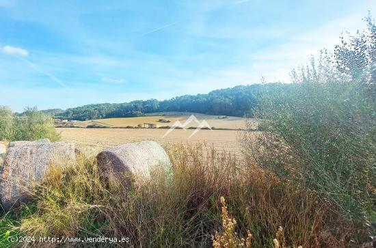 Finca rústica edificable de 56.000 m2 en zona pintoresca de Sant Joan - BALEARES