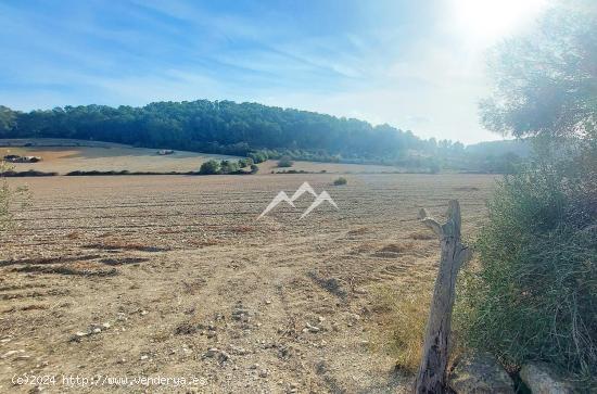 Finca rústica edificable de 56.000 m2 en zona pintoresca de Sant Joan - BALEARES