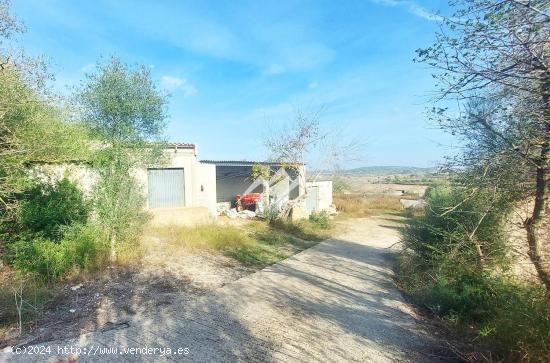 Finca rústica edificable de 56.000 m2 en zona pintoresca de Sant Joan - BALEARES