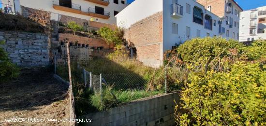 FINCA NUCLEO URBANO TOLOX - MALAGA