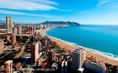 Piso en Benidorm, Zona Hotel Bali - ALICANTE